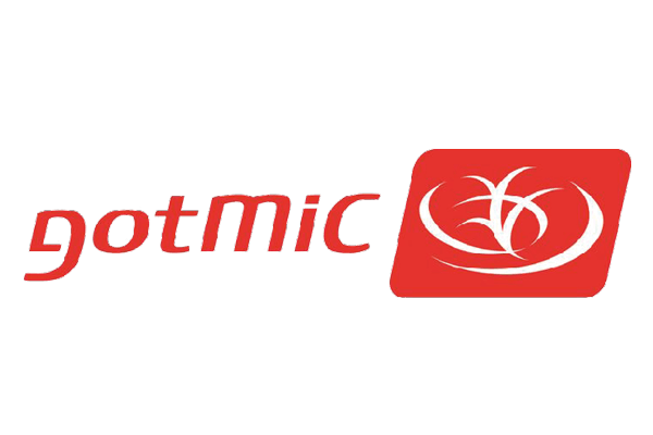 Gotmic